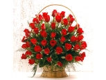 Red Perfection - 36 Stems Basket